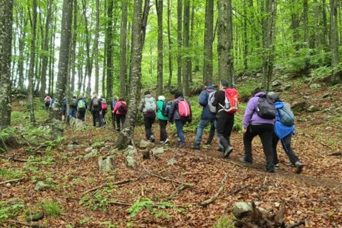 Vai alla pagina Festival dell’Altra Montagna – Fiore del Baldo